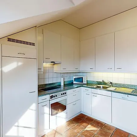 Maisonette Penthouse In Old Town - Uz10 Zurich