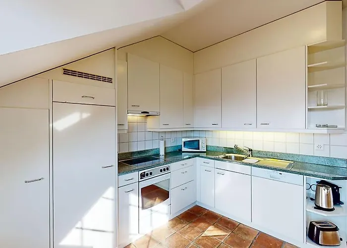 Maisonette Penthouse In Old Town - Uz10 Zurich