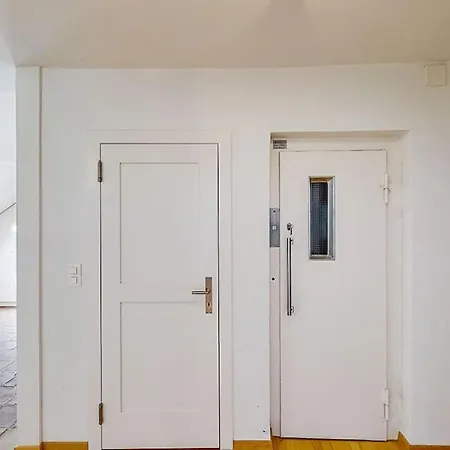 公寓 Maisonette Penthouse In Old Town - Uz10
